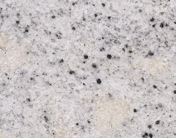 fantastic white (Copy1)